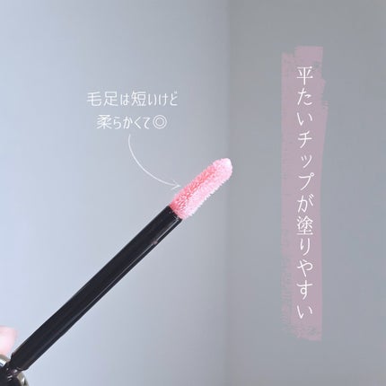 エレガンス ブリリアント ルージュ ビジュー/Elégance/リップグロスを使ったクチコミ(3枚目)