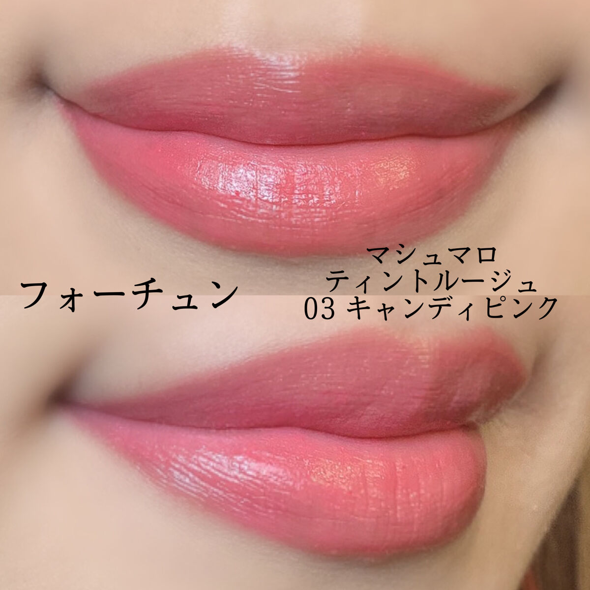 インザミラーアイパレット/Ririmew/アイシャドウパレットを使ったクチコミ（2枚目）