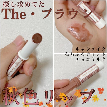 むちぷるティント/キャンメイク/リップティントを使ったクチコミ(1枚目)