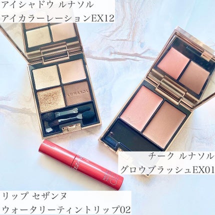 デザイニング フェイスカラーパレット 04 アップルバター(限定)/IPSA/プレストパウダーを使ったクチコミ(3枚目)