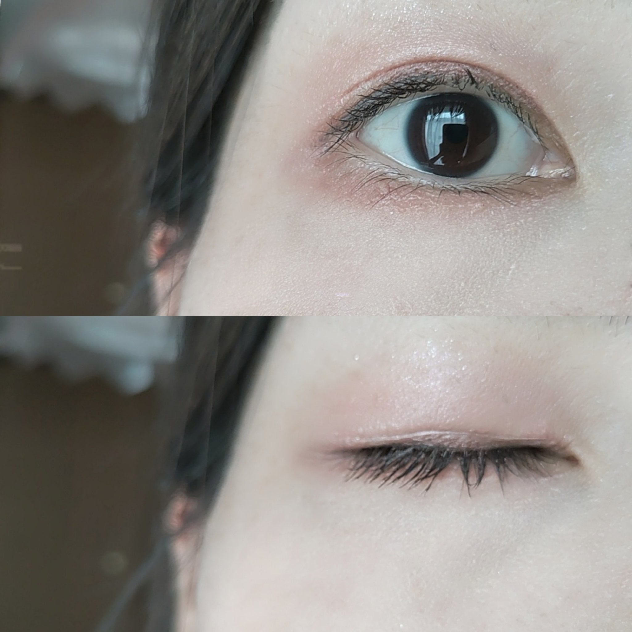 ミゼルエディ カールアップマスカラ/ミゼルエディ/マスカラを使ったクチコミ（3枚目）