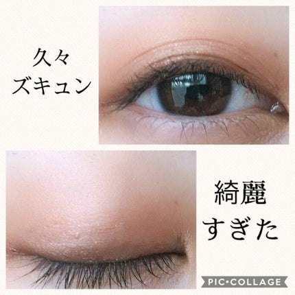 アクセントカラーアイズ CC/インテグレート/アイシャドウパレットを使ったクチコミ(2枚目)