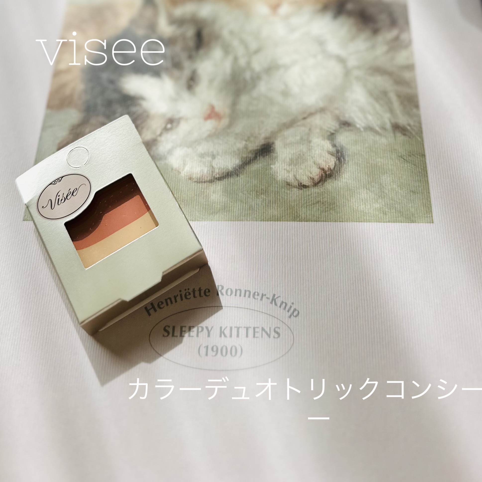 カラーデュオ トリック コンシーラー/Visée/パレットコンシーラーを使ったクチコミ（1枚目）