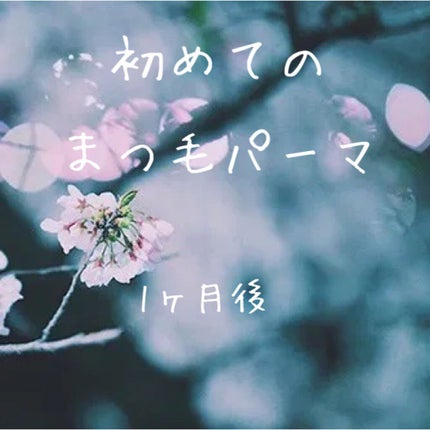 ã䜿ã£ãã¯ãã³ãïŒ1æç®ïŒ