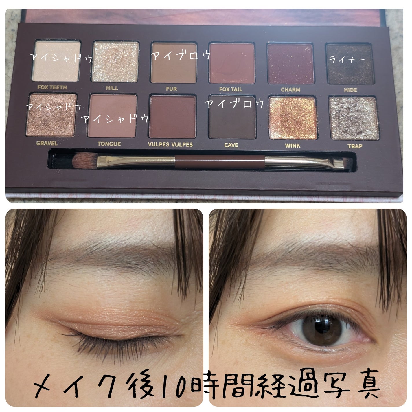 エクスプローラ12色 動物アイシャドウパレット/PERFECT DIARY/アイシャドウパレットを使ったクチコミ(2枚目)