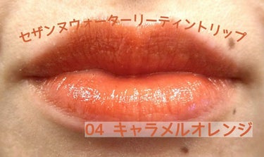 ウォータリーティントリップ 04 キャメルオレンジ/CEZANNE/口紅を使ったクチコミ（3枚目）