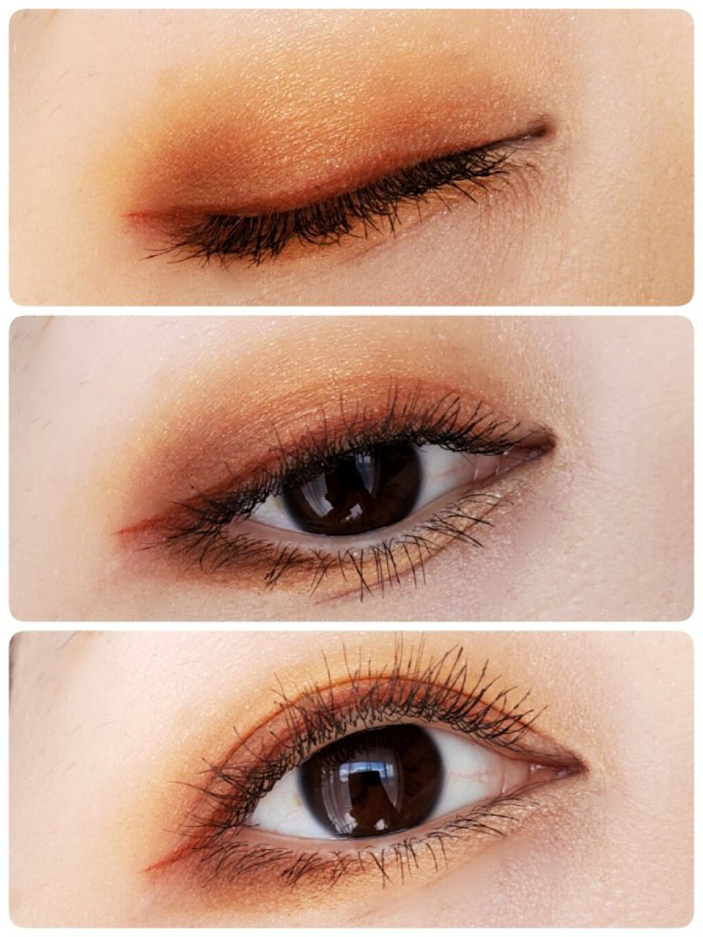 グラデーション アイシャドウ/ちふれ/アイシャドウパレットを使ったクチコミ（1枚目）