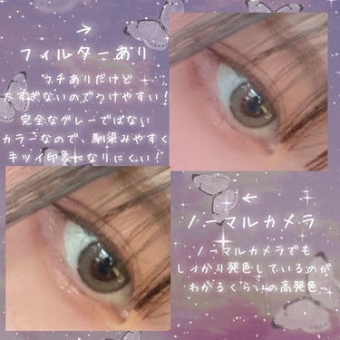 eye closet iDOL Series CANNA ROSE 1day/EYE CLOSET/ワンデー（１DAY）カラコンを使ったクチコミ（3枚目）