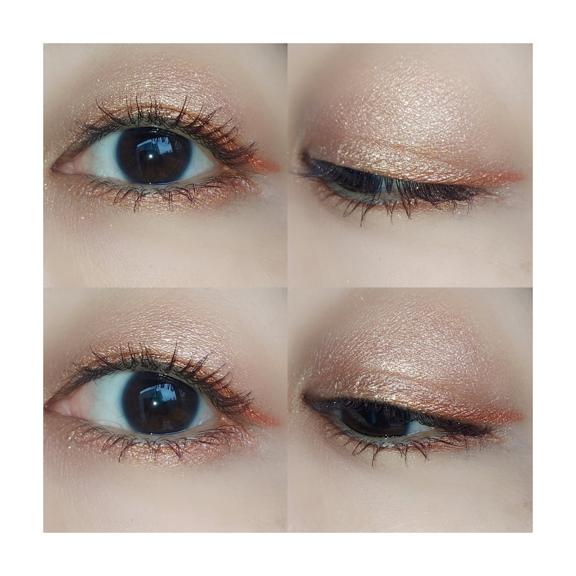 クロマティックス クワッド/shu uemura/アイシャドウパレットを使ったクチコミ（3枚目）