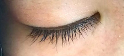 ãã¹ã«ã©TF/ããã ãããã³/ãã¹ã«ã©ã䜿ã£ãã¯ãã³ãïŒ2æç®ïŒ