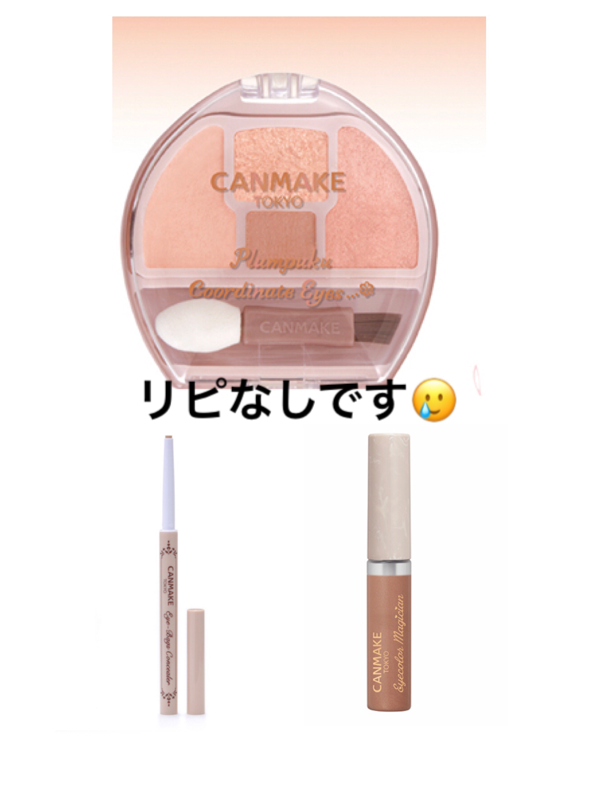 ラスティングマルチアイベース WP/キャンメイク/アイシャドウベースを使ったクチコミ（1枚目）