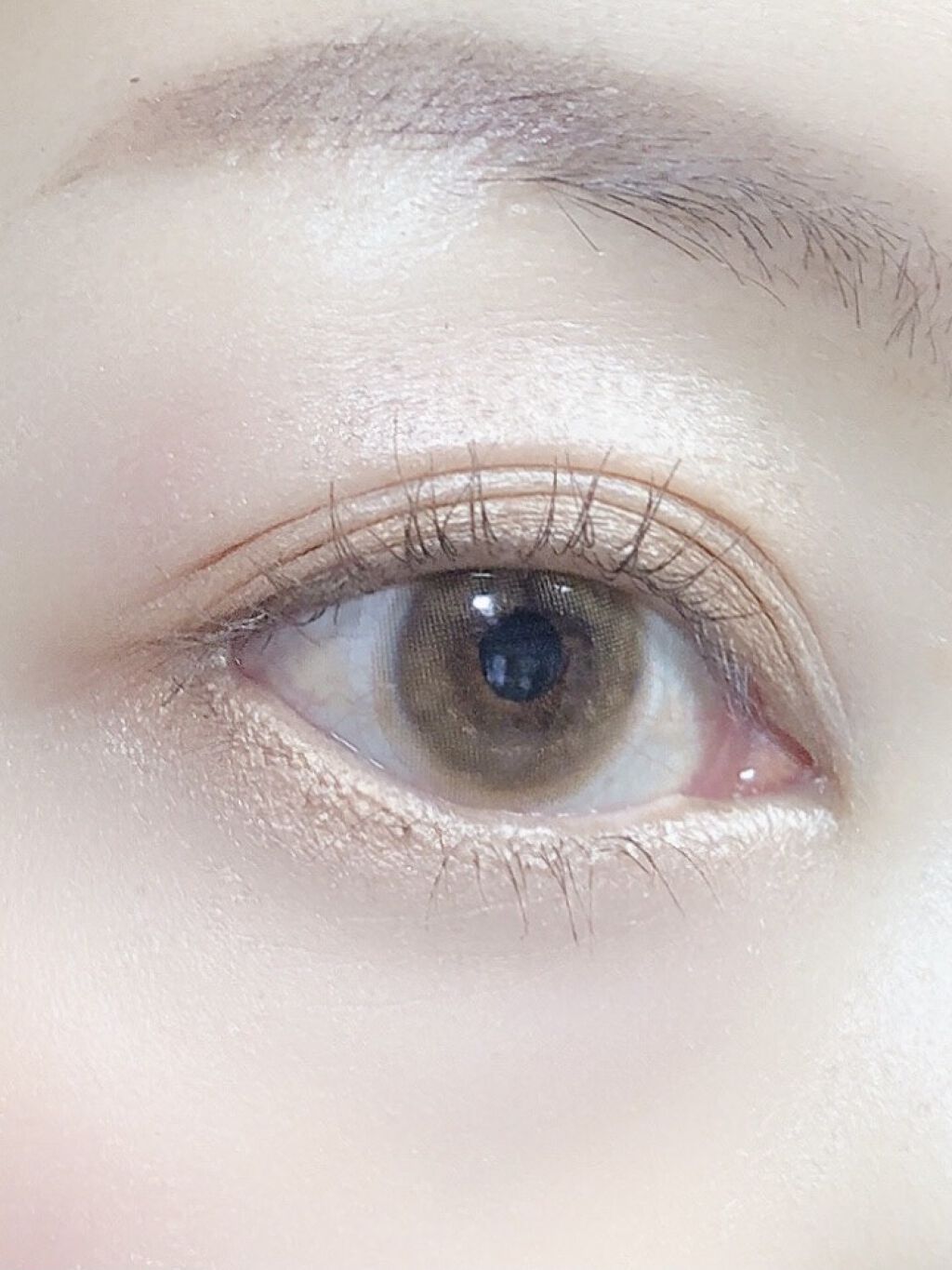 ミネラルクラッシィシャドー ロイヤルブラウン/エトヴォス/アイシャドウパレットを使ったクチコミ（2枚目）