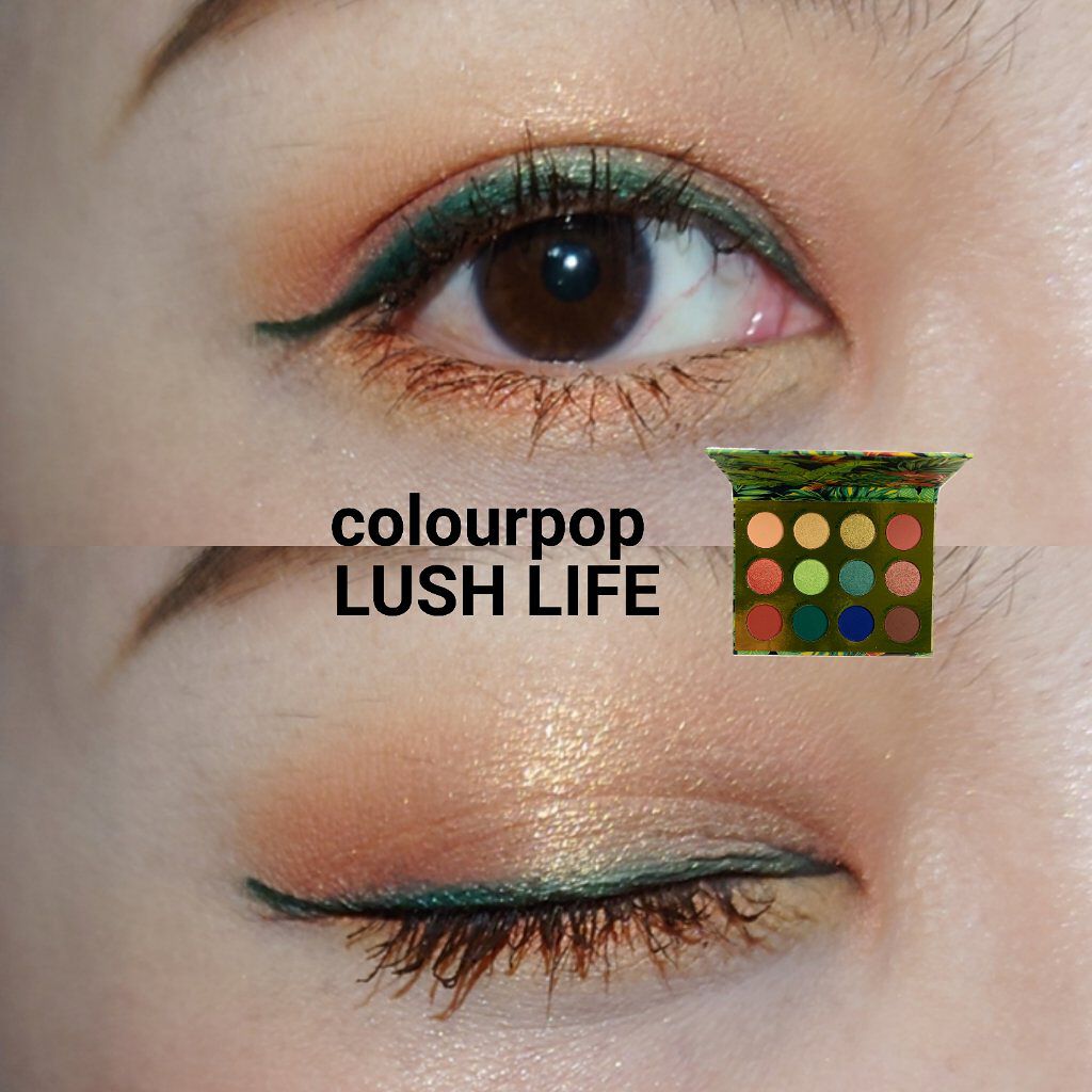  ラッシュライフ/ColourPop/アイシャドウパレットを使ったクチコミ（1枚目）