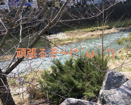 カラーチェンジアイブロウ 06 ナチュラルブラウン/キャンメイク/眉マスカラを使ったクチコミ(1枚目)