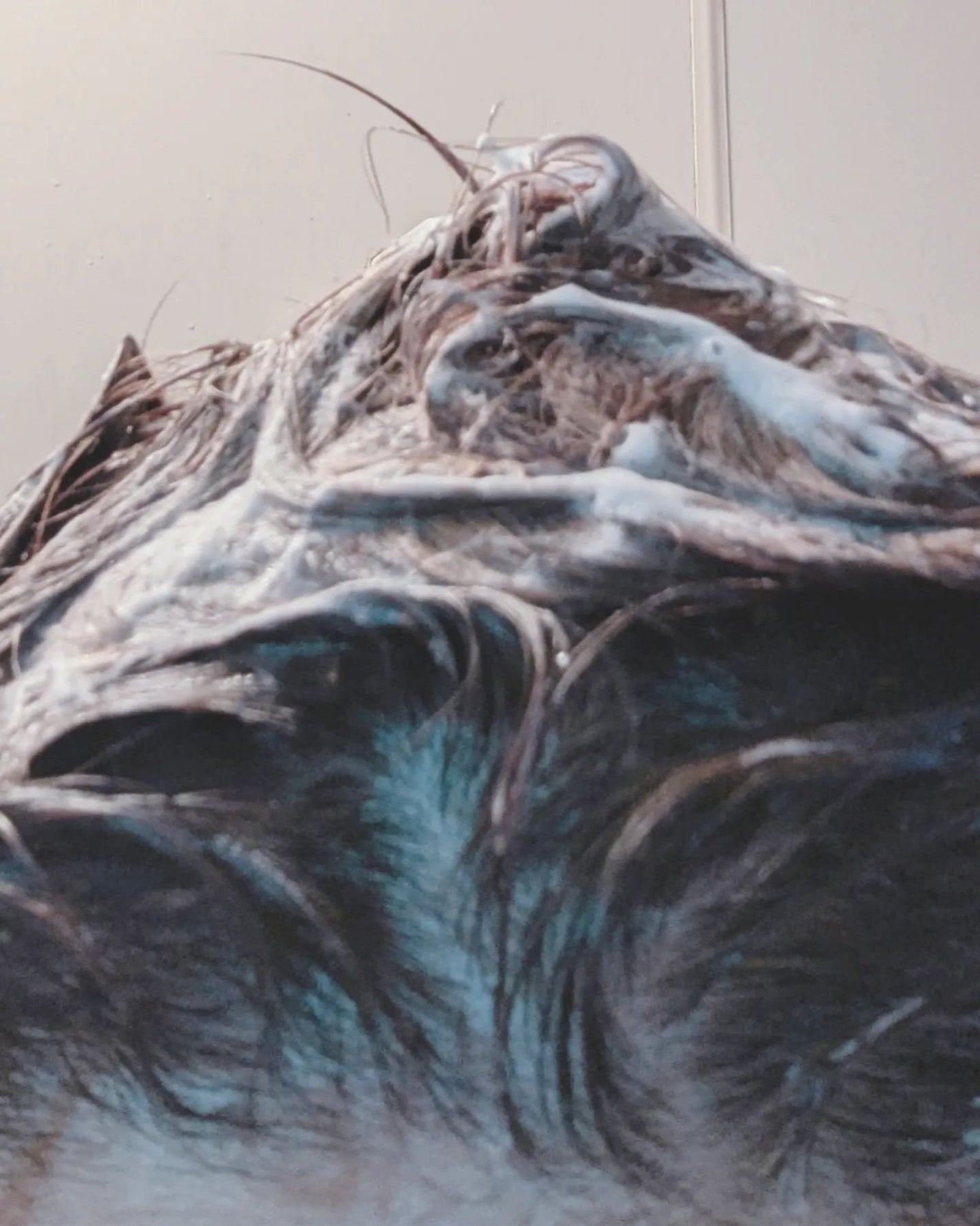 エブリ カラートリートメント/アンナドンナ/ヘアカラーを使ったクチコミ(3枚目)