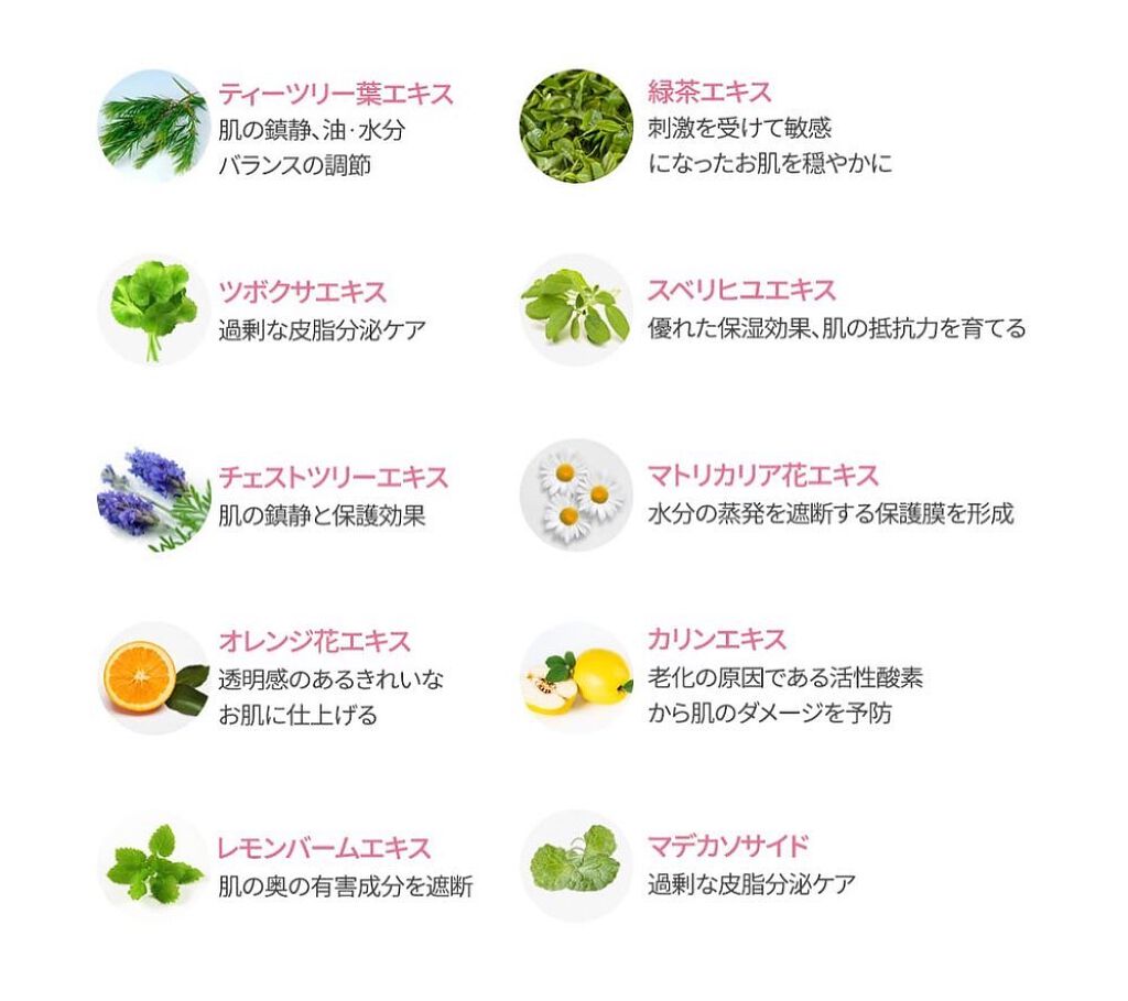 ピンクティーツリーカバークッション/APLIN/クッションファンデーションを使ったクチコミ(9枚目)