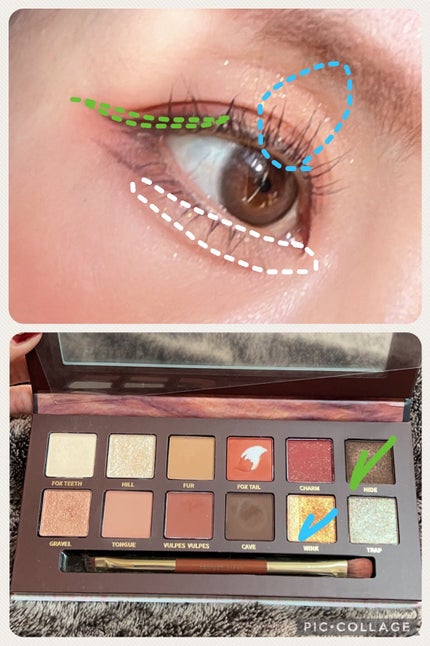 エクスプローラ12色 動物アイシャドウパレット/PERFECT DIARY/アイシャドウパレットを使ったクチコミ(3枚目)