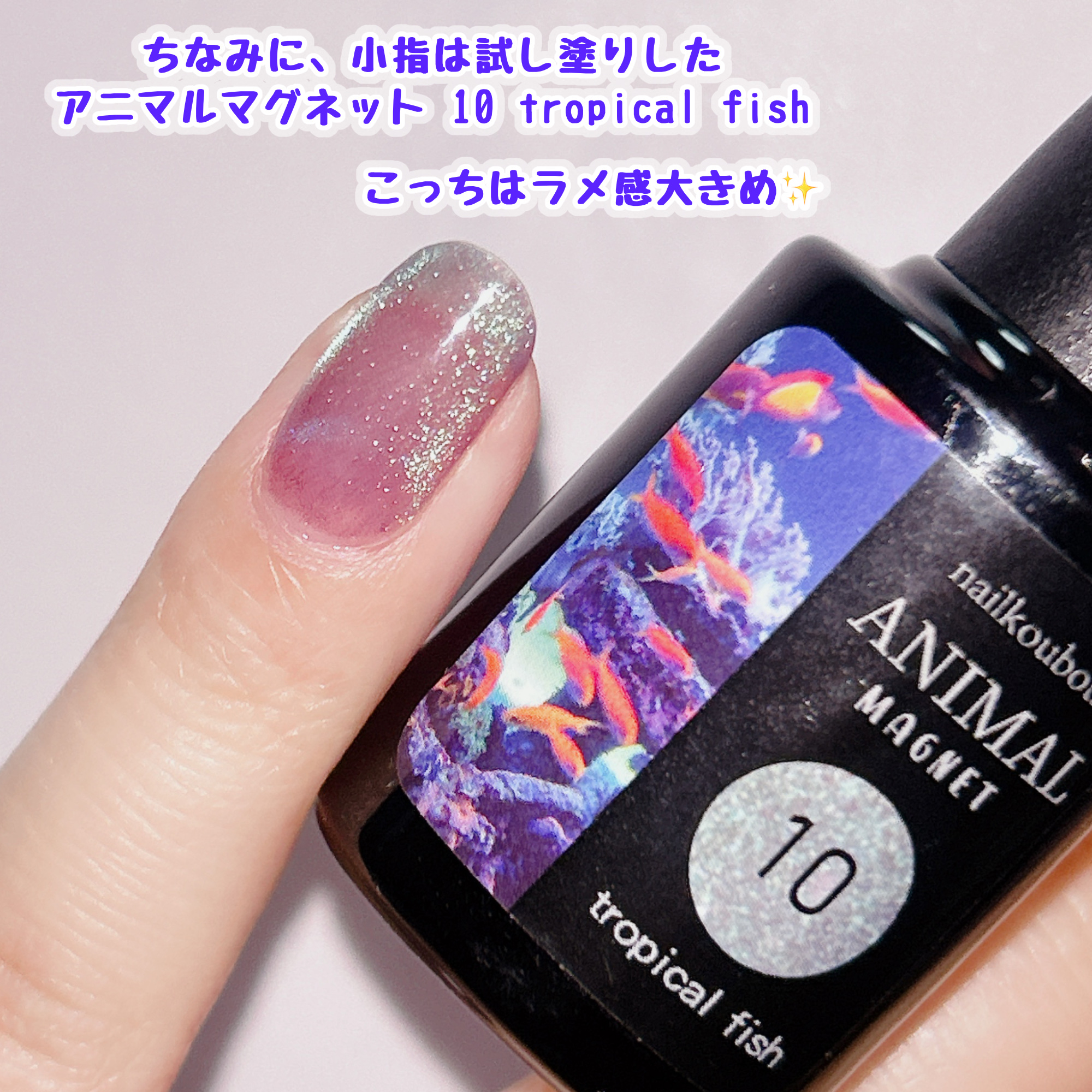 アニマルマグネットジェル/ネイル工房/ジェルネイルを使ったクチコミ（3枚目）