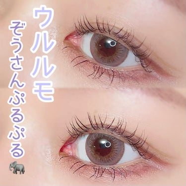 ULULUMO by Motecon
ウルルモ
ぞうさんぷるぷる

含水率	　　　38％
DIA	　　　　　14.5mm
着色直径	　13.8mm
ベースカーブ　8.6mm
モイスト	　あり
UVカット