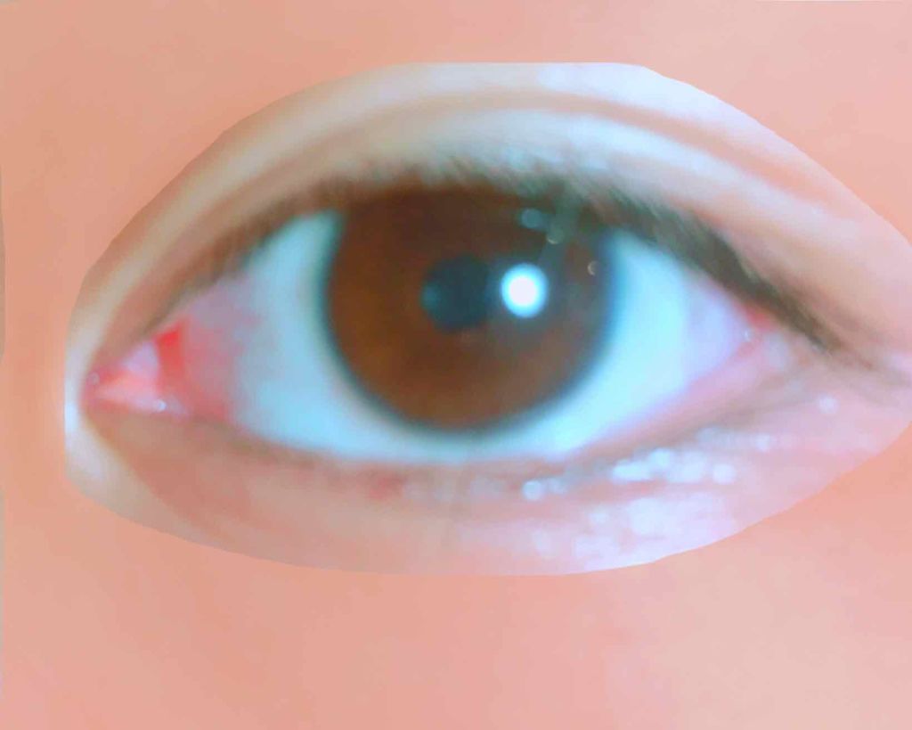 アイラッシュカーラー/DAISO/ビューラーを使ったクチコミ(2枚目)