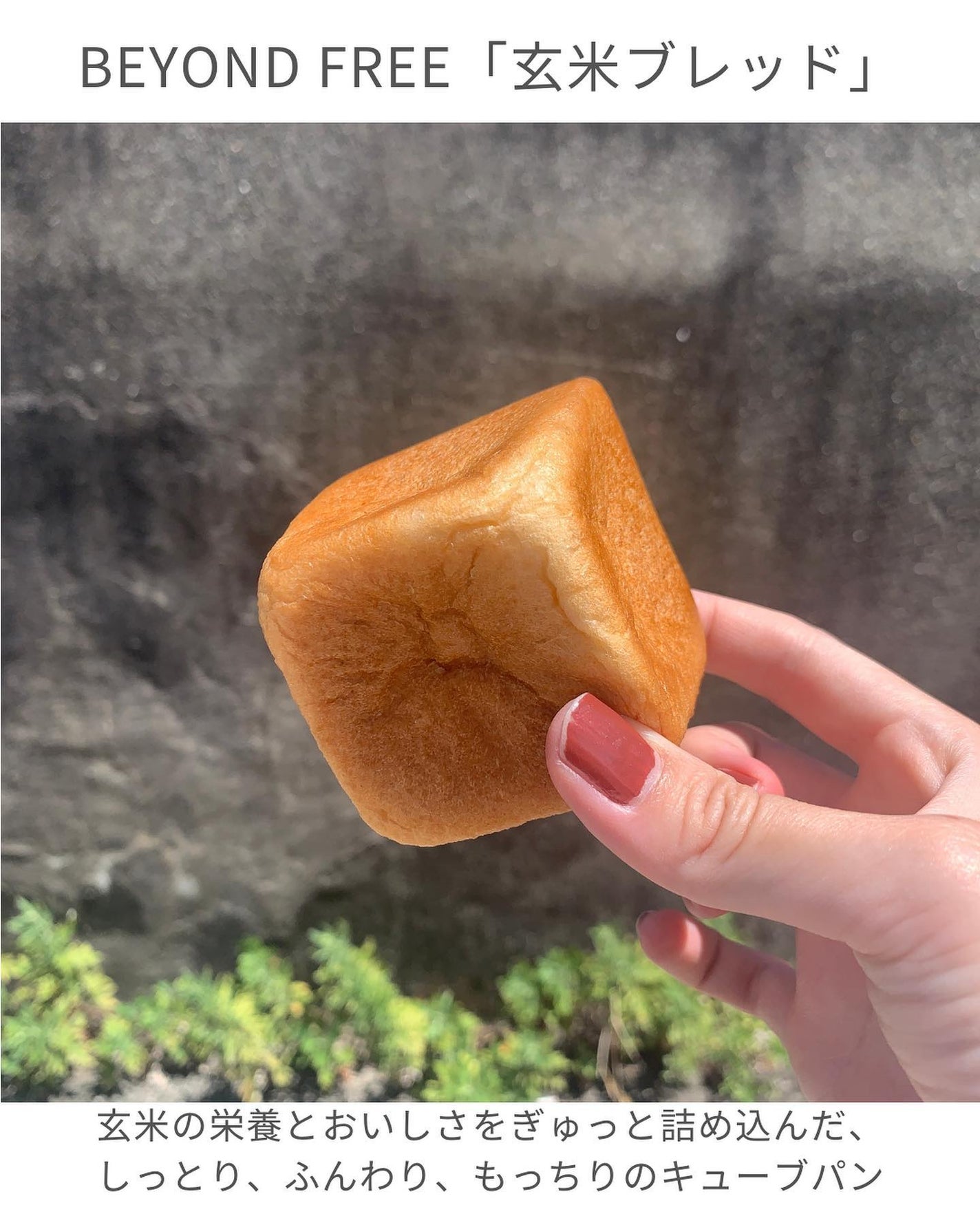 ぽち on LIPS 「@winnio←ウィニーですꪔ̤̮┈┈┈┈┈┈┈┈┈┈┈BEY..」(3枚目)