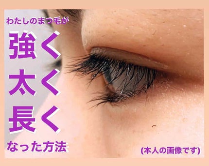 まつげ美容液EX/CEZANNE/まつげ美容液を使ったクチコミ(1枚目)