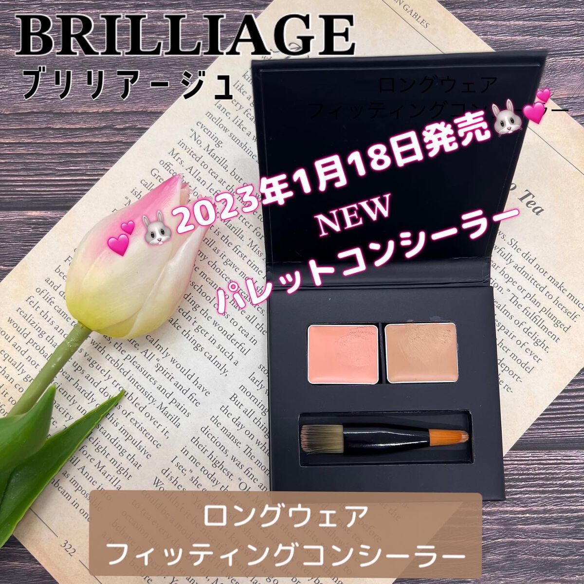ロングウェア フィッティング コンシーラー/ブリリアージュ/パレットコンシーラーを使ったクチコミ(1枚目)