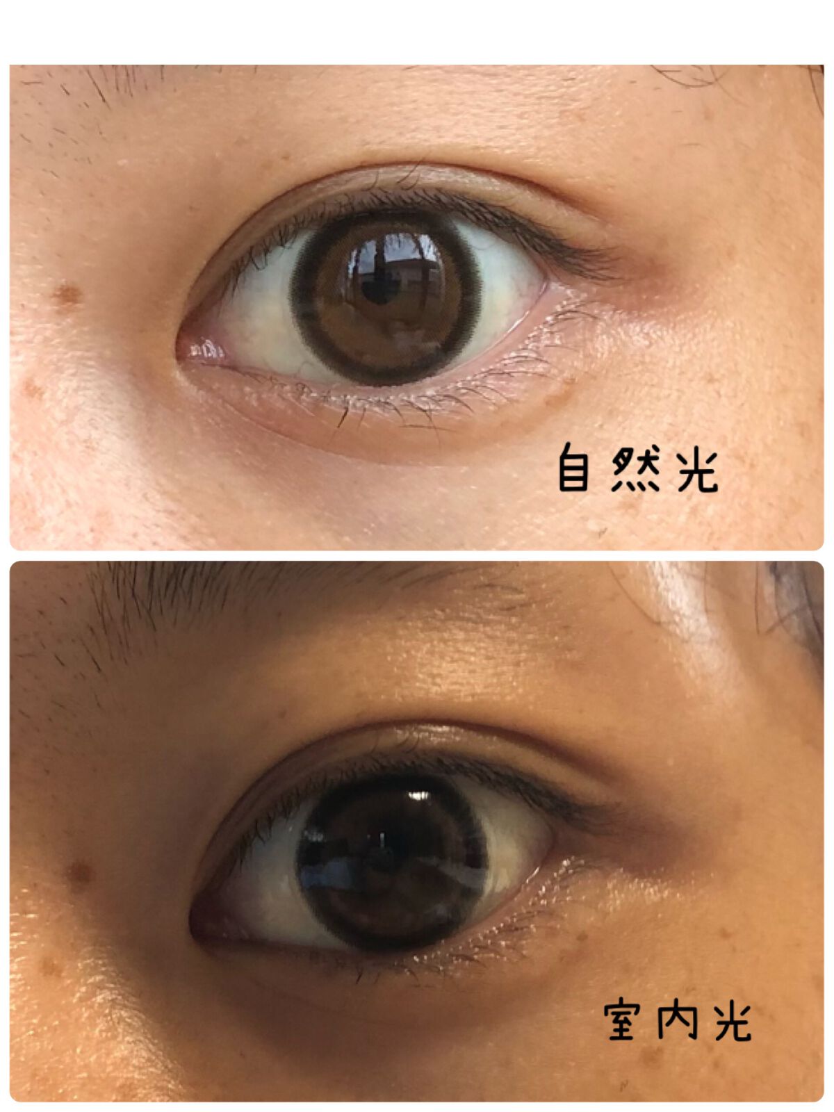 candymagic1day(キャンディーマジックワンデー)/candy magic/ワンデー(1DAY)カラコンを使ったクチコミ(3枚目)