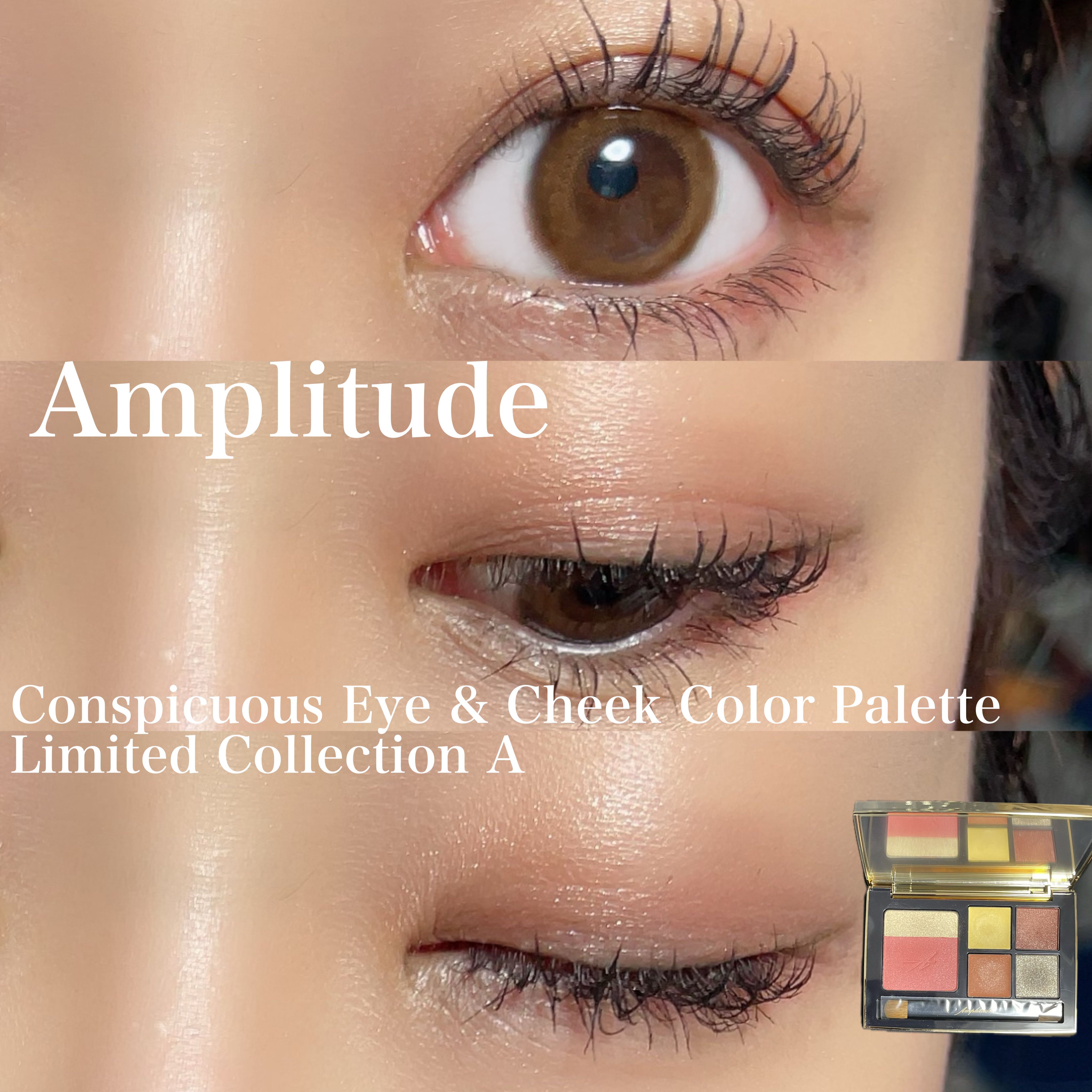 コンスピキュアス アイ＆チークカラーパレット リミテッドコレクション a/Amplitude/アイシャドウパレットを使ったクチコミ（1枚目）