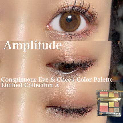 コンスピキュアス アイ&チークカラーパレット リミテッドコレクション a/Amplitude/アイシャドウパレットを使ったクチコミ(1枚目)