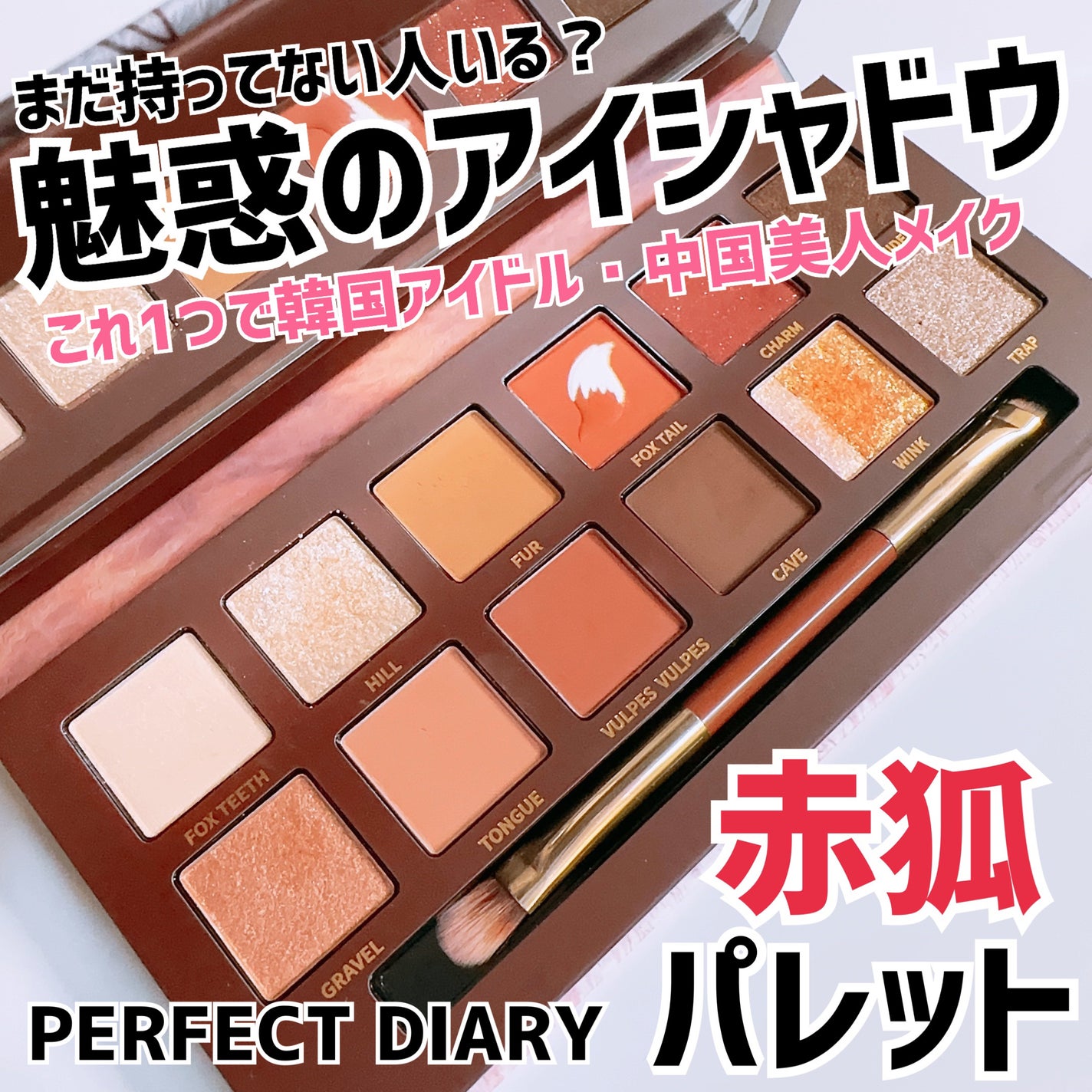 エクスプローラ12色 動物アイシャドウパレット/PERFECT DIARY/アイシャドウパレットを使ったクチコミ(1枚目)