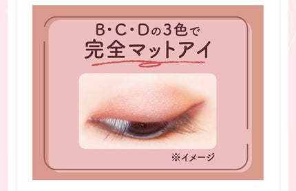 シルキースフレアイズ(マットタイプ)/キャンメイク/アイシャドウパレットを使ったクチコミ(3枚目)