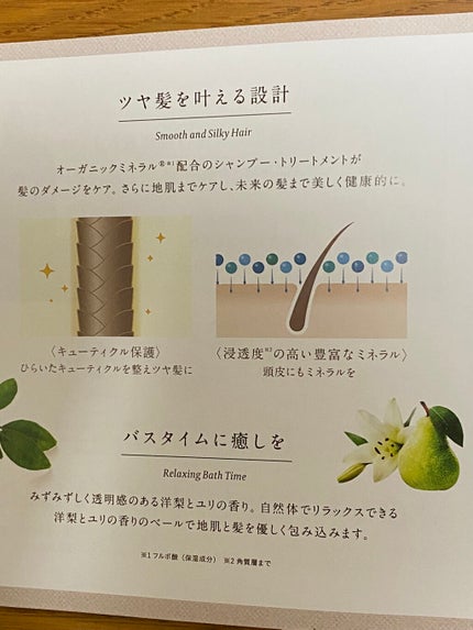 スカルプD ボーテ ナチュラスター スカルプシャンプー/トリートメントパック/アンファー(スカルプD)/シャンプー・コンディショナーを使ったクチコミ(2枚目)