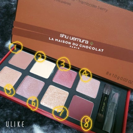 ガナッシュ アンド プラリネ アイパレット/shu uemura/アイシャドウパレットを使ったクチコミ(2枚目)