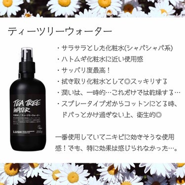 ラッシュ ティーツリーウォーターのクチコミ「LUSH 使い切りスキンケア

艶肌ドロップ💐
ベタつかず、使いやすい！
ただ、乾くまでヌルヌ.....」（3枚目）