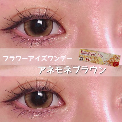 フラワーアイズ ワンデー/株式会社ビューフロンティア/ワンデー(1DAY)カラコンを使ったクチコミ(1枚目)
