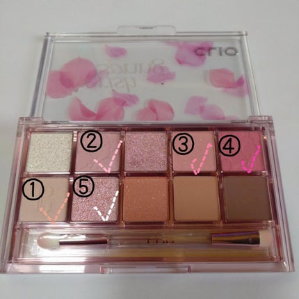 プロ アイ パレット/CLIO/アイシャドウパレットを使ったクチコミ(2枚目)