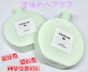 イグニス イオ モイスト シャンプー 100ml/IGNIS/シャンプー・コンディショナーを使ったクチコミ（1枚目）