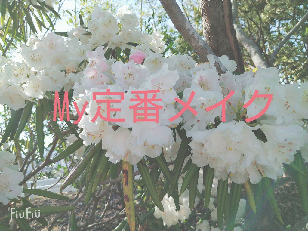 ナチュラル チークN/CEZANNE/パウダーチークを使ったクチコミ(1枚目)