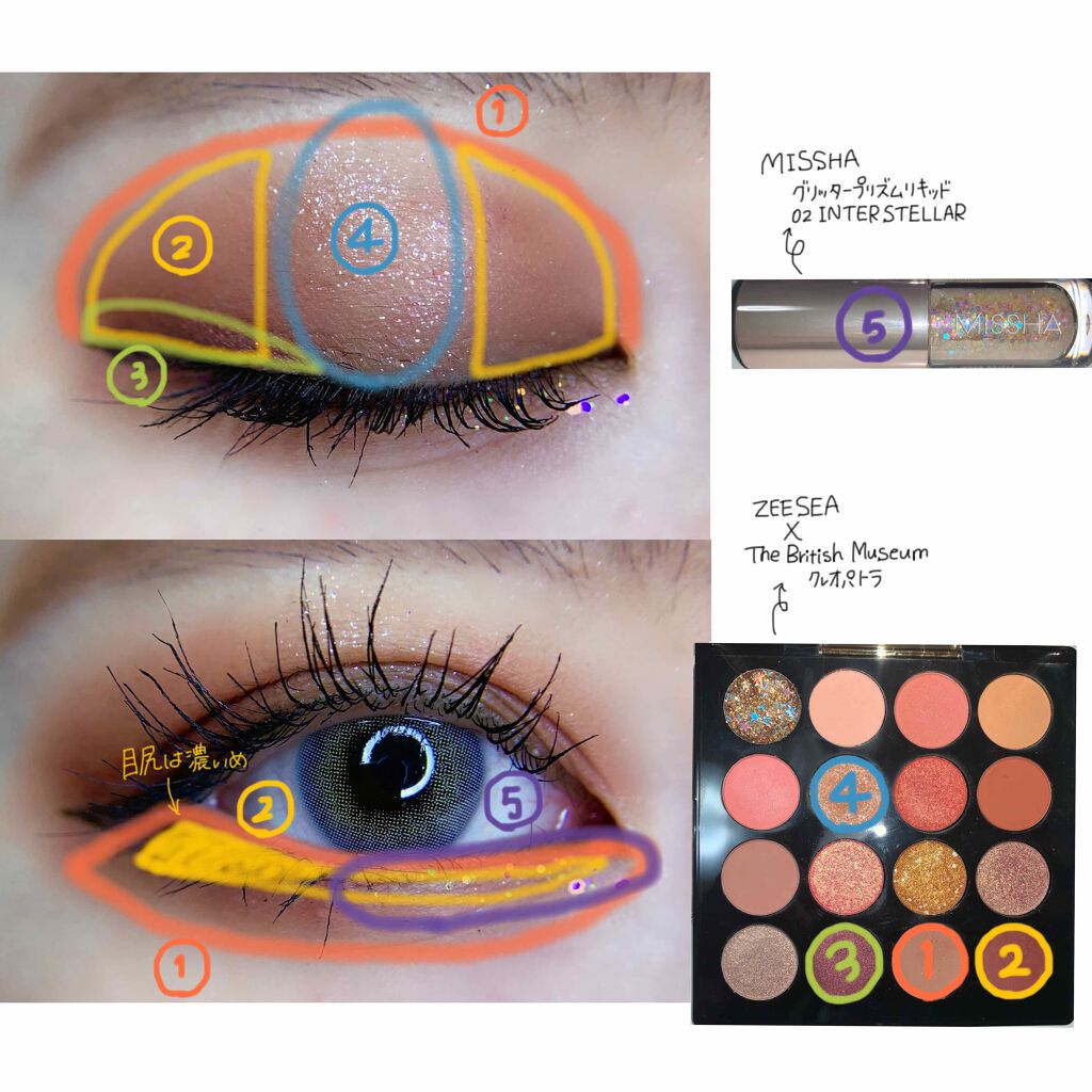 大英博物館 エジプトシリーズ アイシャドウパレット/ZEESEA/アイシャドウパレットを使ったクチコミ(3枚目)