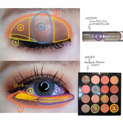 大英博物館 エジプトシリーズ アイシャドウパレット/ZEESEA/アイシャドウパレットを使ったクチコミ(3枚目)