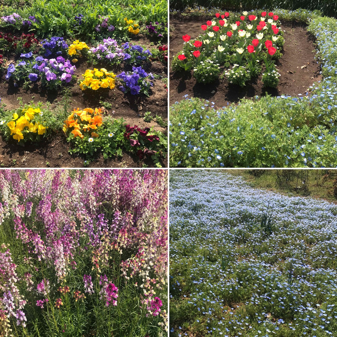 プレイネイル/ETUDE/マニキュアを使ったクチコミ(4枚目)