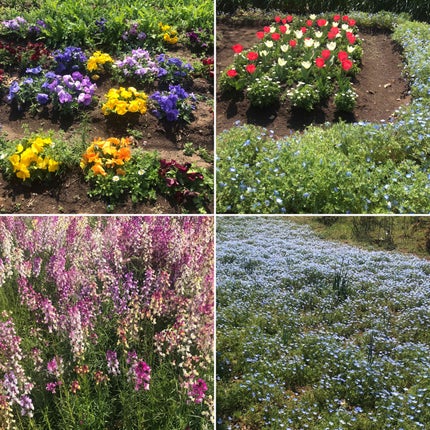 プレイネイル/ETUDE/マニキュアを使ったクチコミ(4枚目)