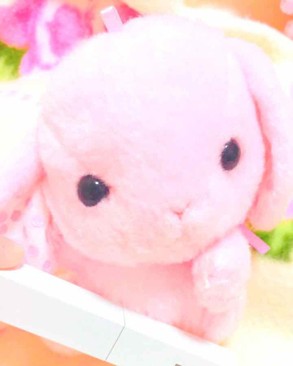 フェイス ザ リップベース/ワミレス/リップケアを使ったクチコミ(1枚目)