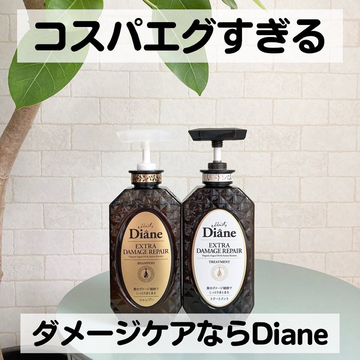 パーフェクトビューティ モイストダイアン エクストラダメージリペア シャンプー/トリートメント/ダイアン/市販シャンプーを使ったクチコミ(1枚目)