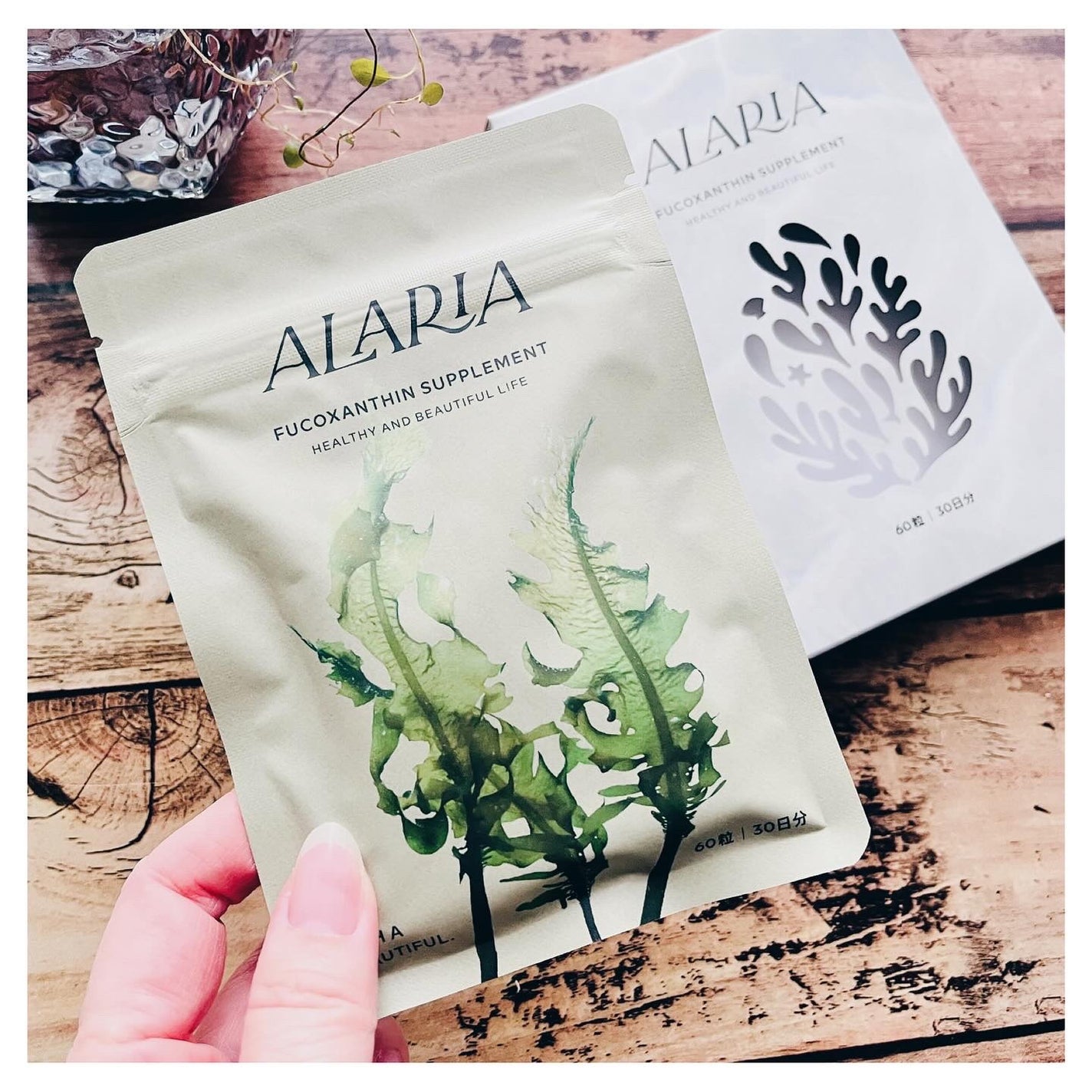 フコキサンチン サプリメント/ALARIA/健康サプリメントを使ったクチコミ(2枚目)