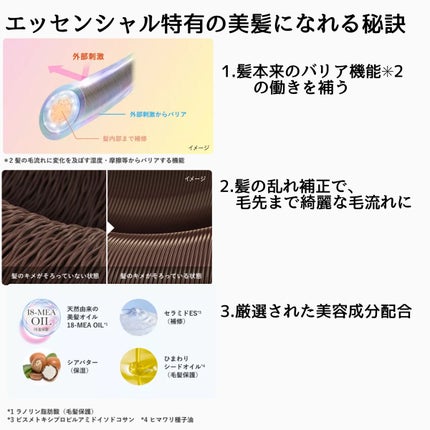 髪ã®ãã¡çŸå®¹ããªã¢ããªãŒãã¡ã³ã/ãšãã»ã³ã·ã£ã«/æŽãæµããã¢ããªãŒãã¡ã³ãã䜿ã£ãã¯ãã³ãïŒ2æç®ïŒ