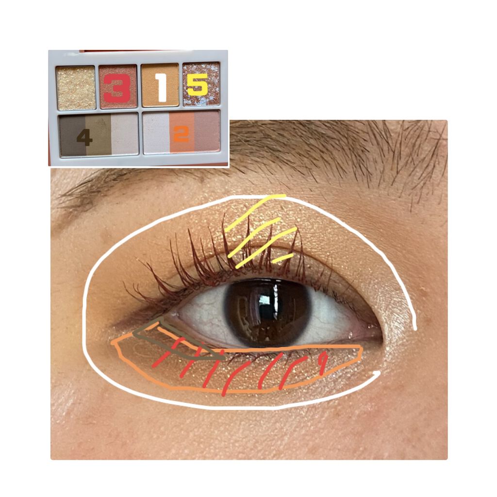 ラグトーマス・キット/RICAFROSH/アイシャドウパレットを使ったクチコミ（2枚目）