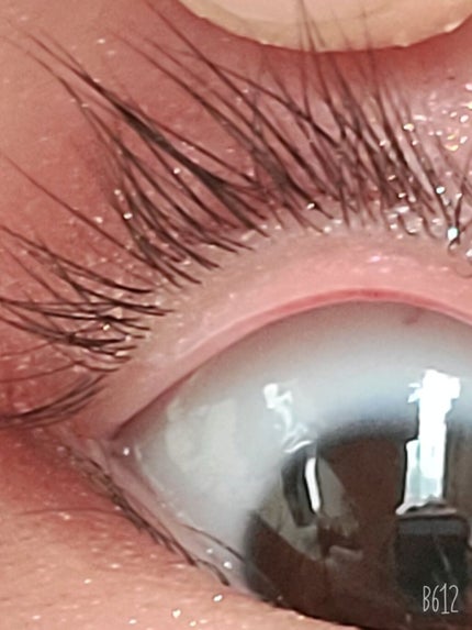 スカルプD ボーテ ピュアフリーアイラッシュセラム/アンファー(スカルプD)/まつげ美容液を使ったクチコミ(2枚目)