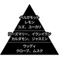 フィアンセ ボディミスト ダスクアロマ